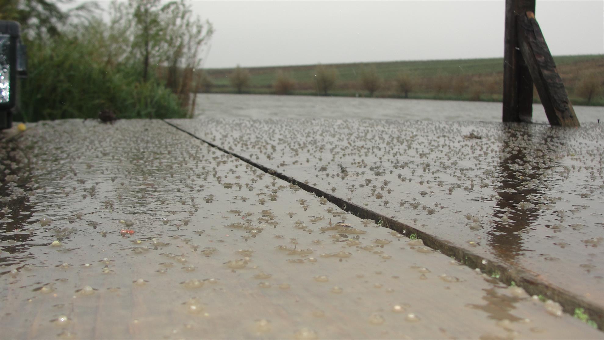 Magura 9 25 - 26 oct. - dsc04631.JPG